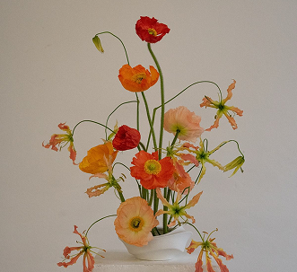 FLORES FOTO