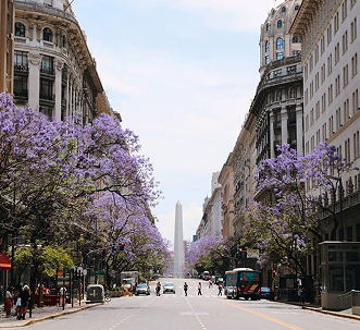 FLORES AMBIENTE