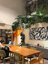 OFICINA DECORACION